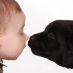 baby or puppy